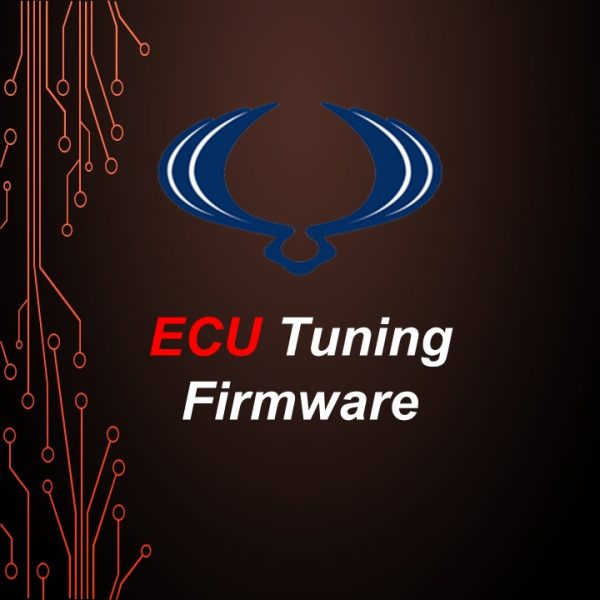 Ssangyong Kyron & Actyon ECU Tuning Firmware