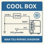 MAN TG3 Cool Box Wiring Diagram – TGX/TGS Euro 6d (Q4 2020)