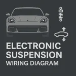 Porsche Panamera Electronic Suspension Wiring Manual (Dynamic Chassis & Level Control)