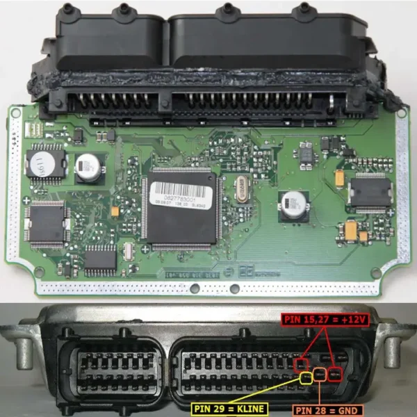 ECU Pinout Diagram download PDF
